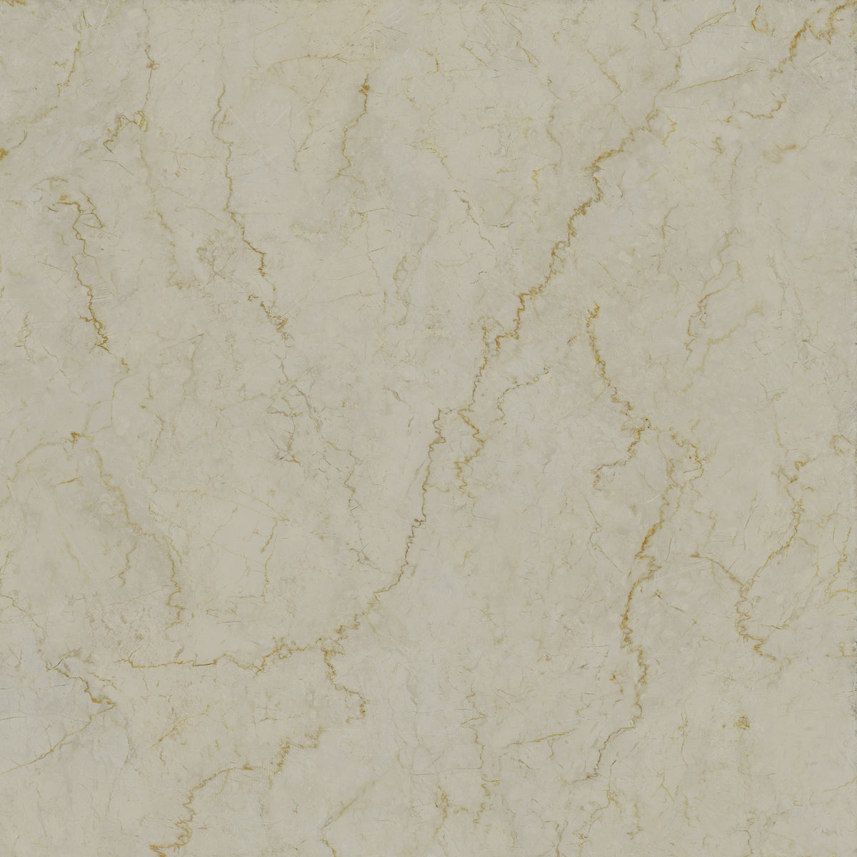 US Marmorea Botticino 60x60