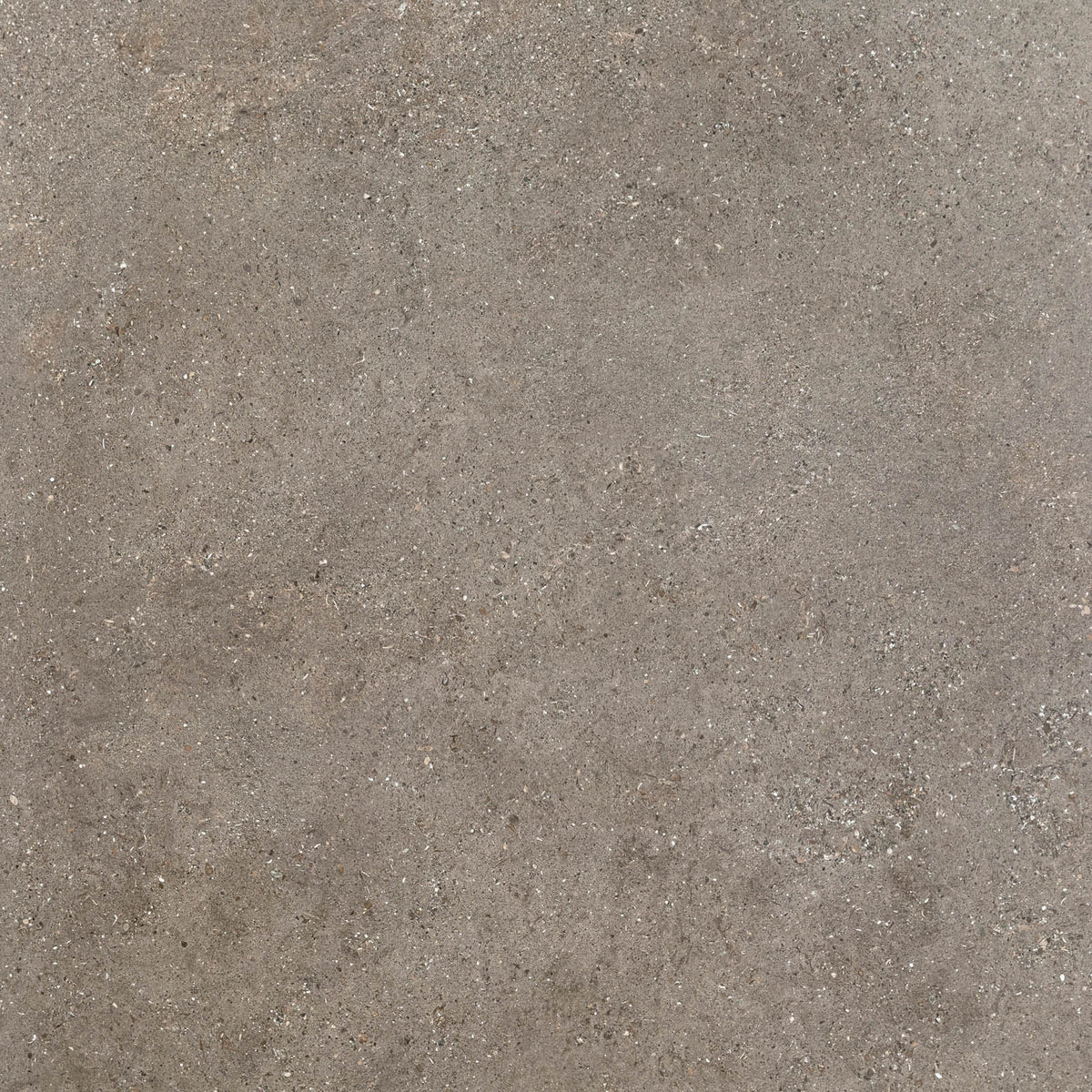 Polestar space 60x120cm