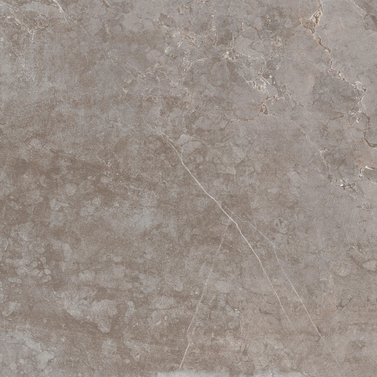 Evostone natural 60x60cm