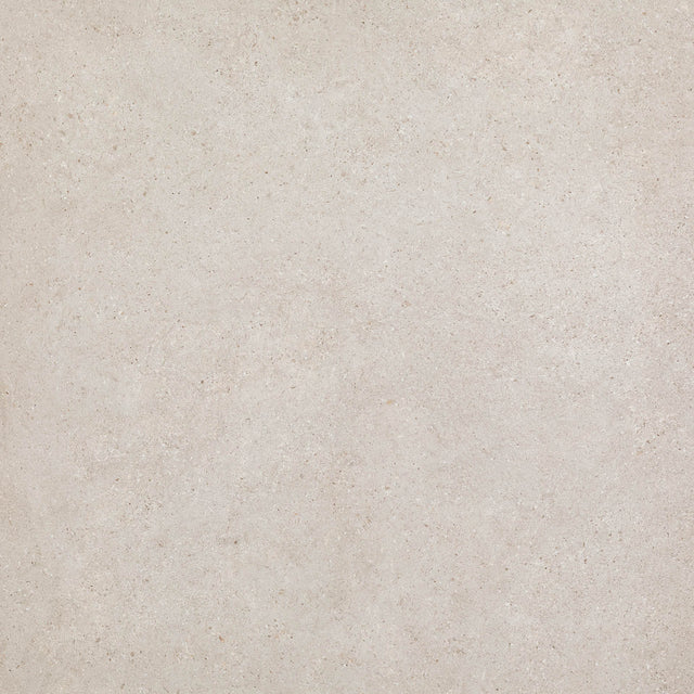 Polestar snow 60x60cm