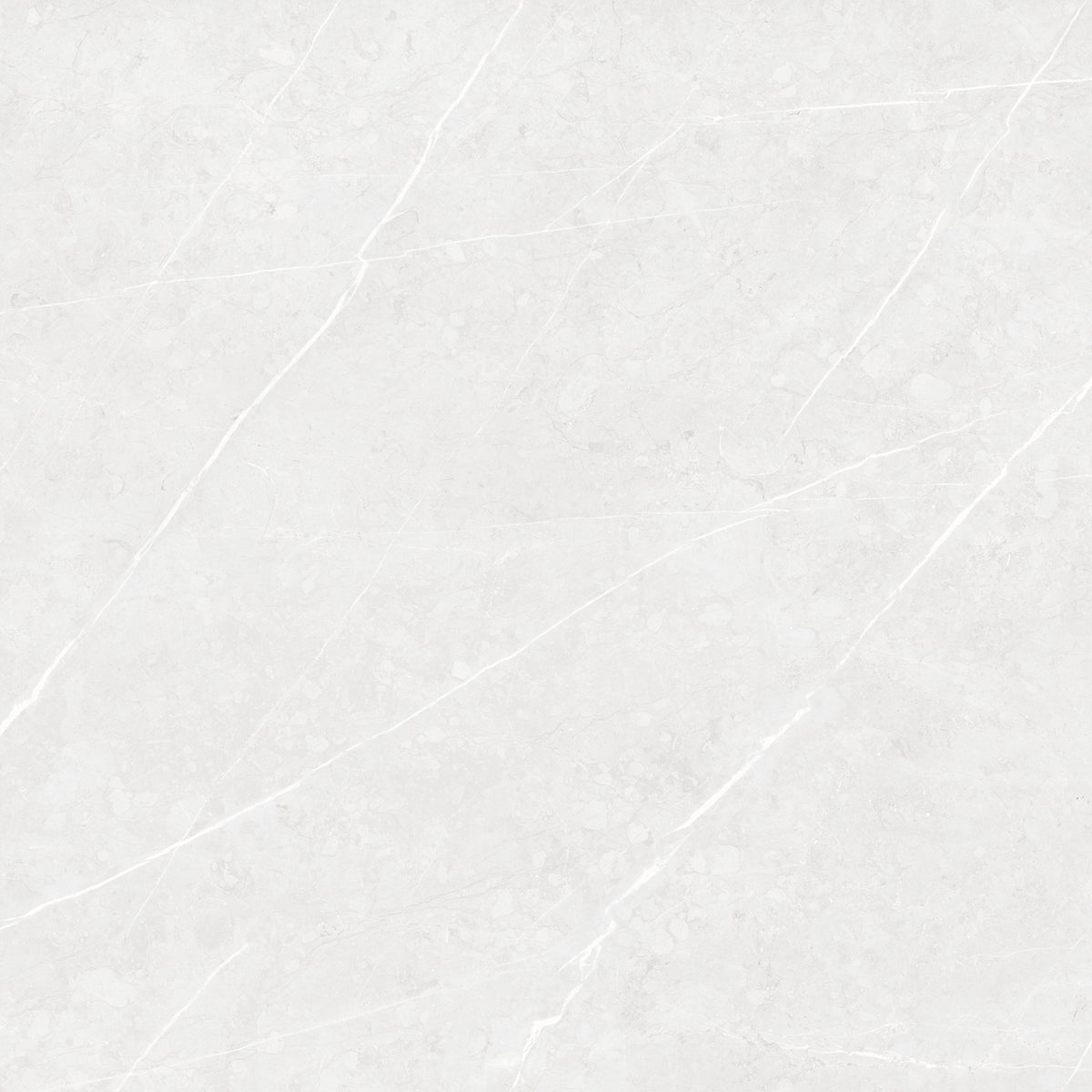Altamura pearl 60x60cm