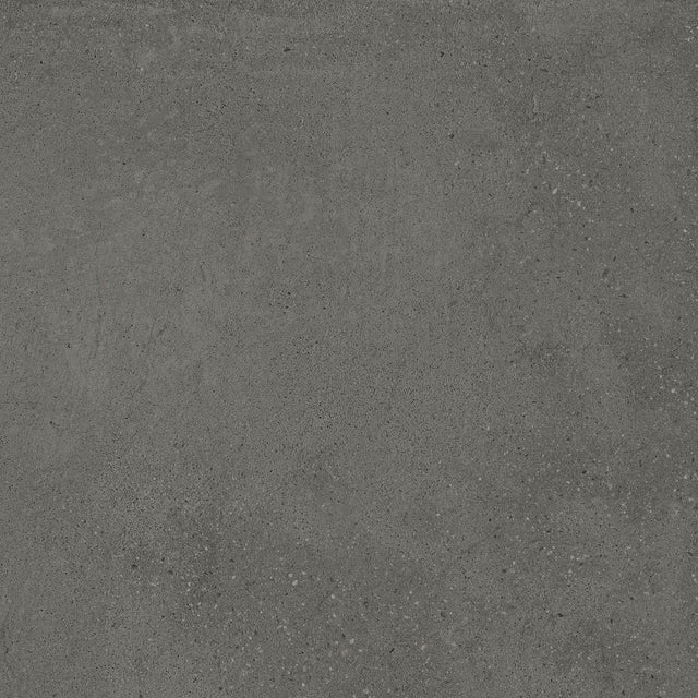 Integra graphite 30x60cm