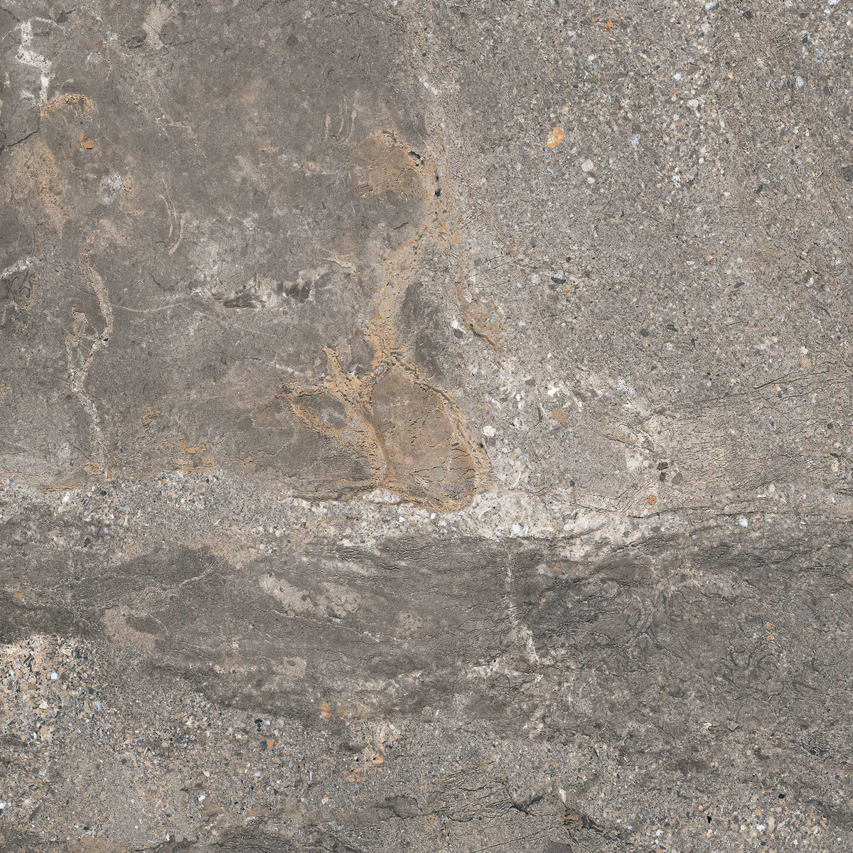 Mainstone gray poleret 60x60cm