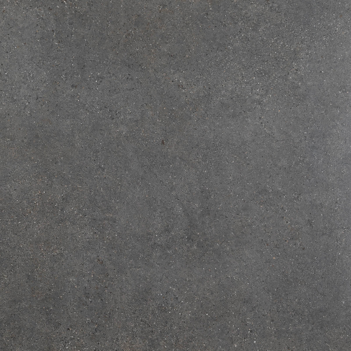 Polestar thunder 60x120cm