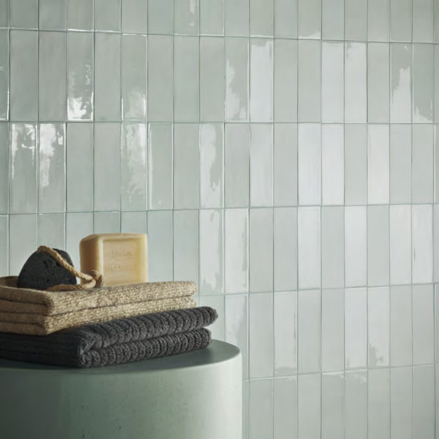 Sixty Brick salvia 5x15cm