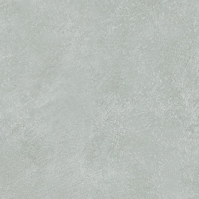 Sixty salvia 30x60cm