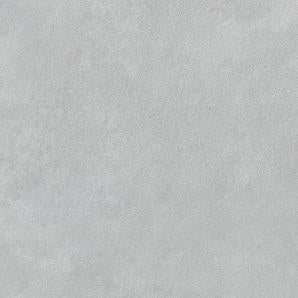 Rako Extra light grey 60x60cm