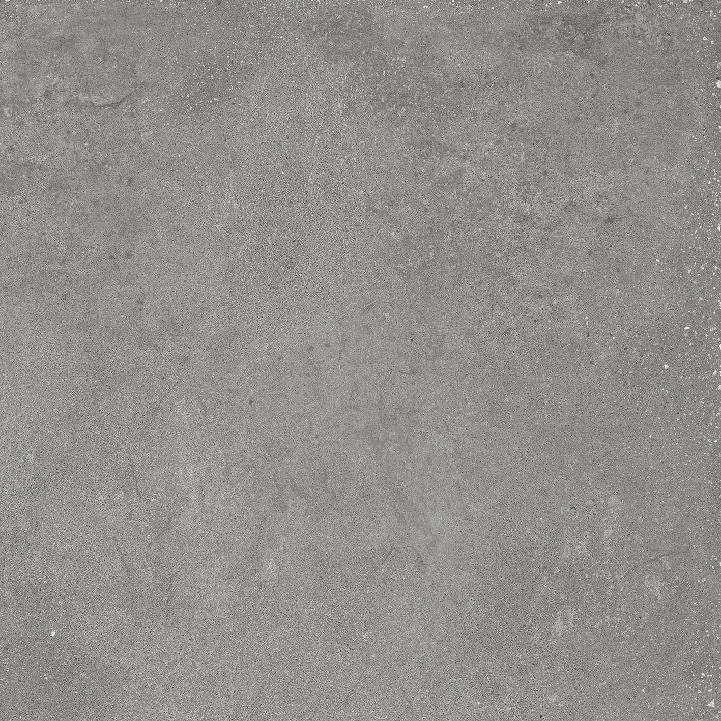 Integra Fine Point Gray Shell Color Integra Gray - Mørkegrå 60x120 flise – Flise design